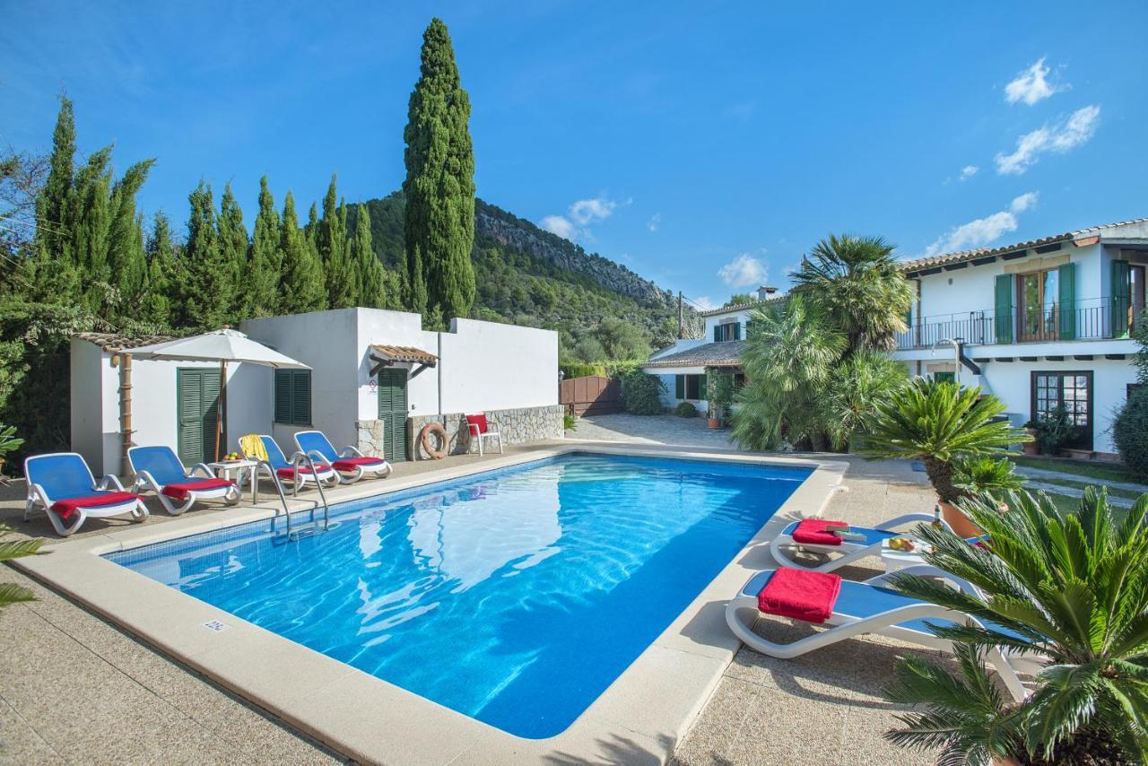 Owl Mairata - Great Garden&pool *
