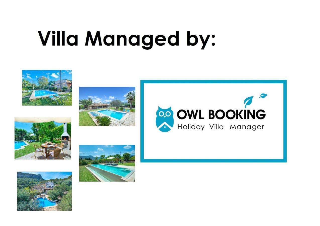 Owl Mairata - Great Garden&pool Pollença